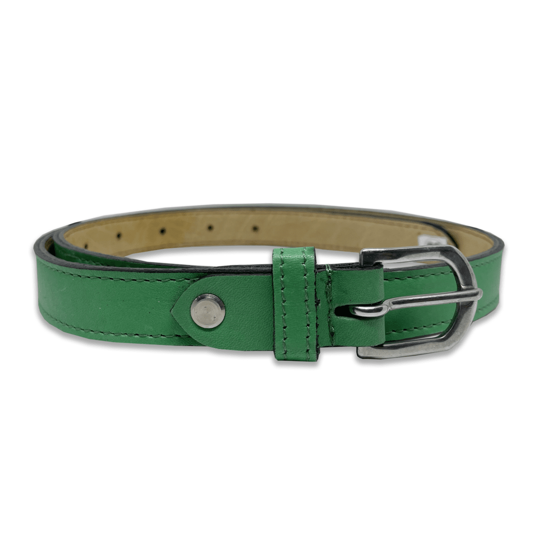 Bhokals Women Light Green Leather Belt